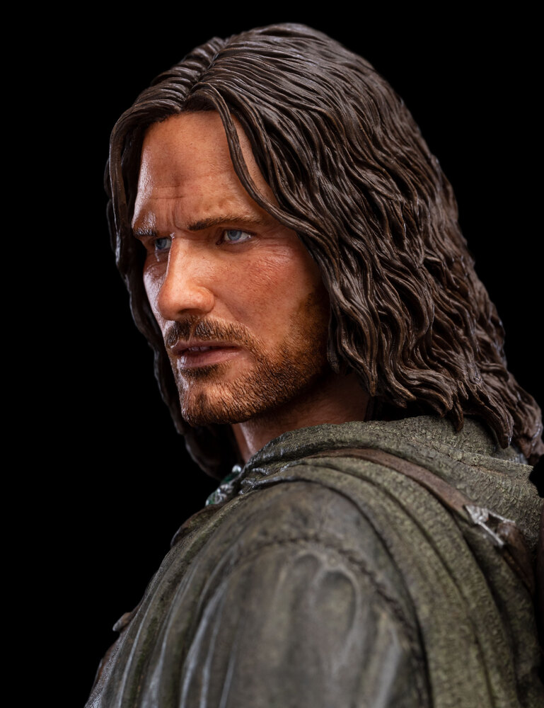 The Lord of the Rings: Aragorn -Hunter of the Plains