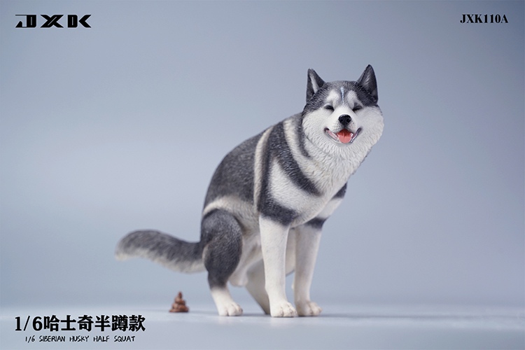 Siberian Husky Half Squat / Leg Lift 1/6