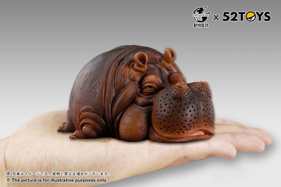 Hippo