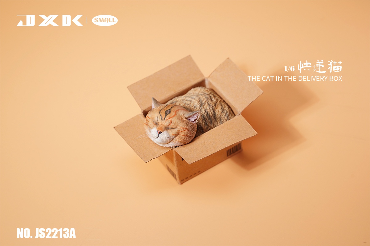 The Cat In The Delivery Box 1/6