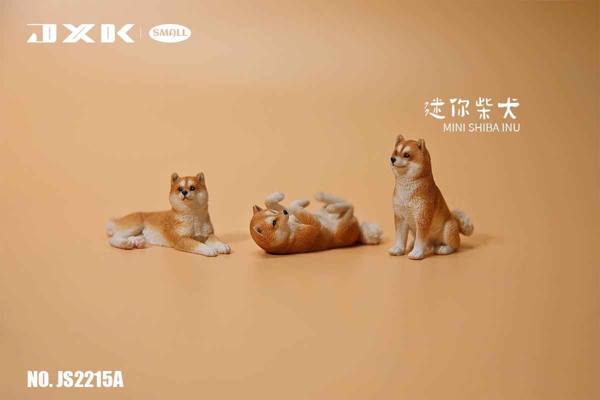 Mini Shiba Inu / Labrador