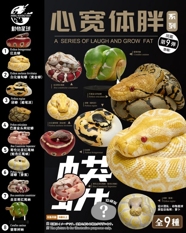 Python