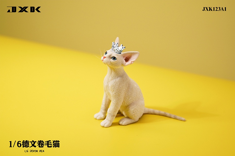 German curly cat JXK123 1/6