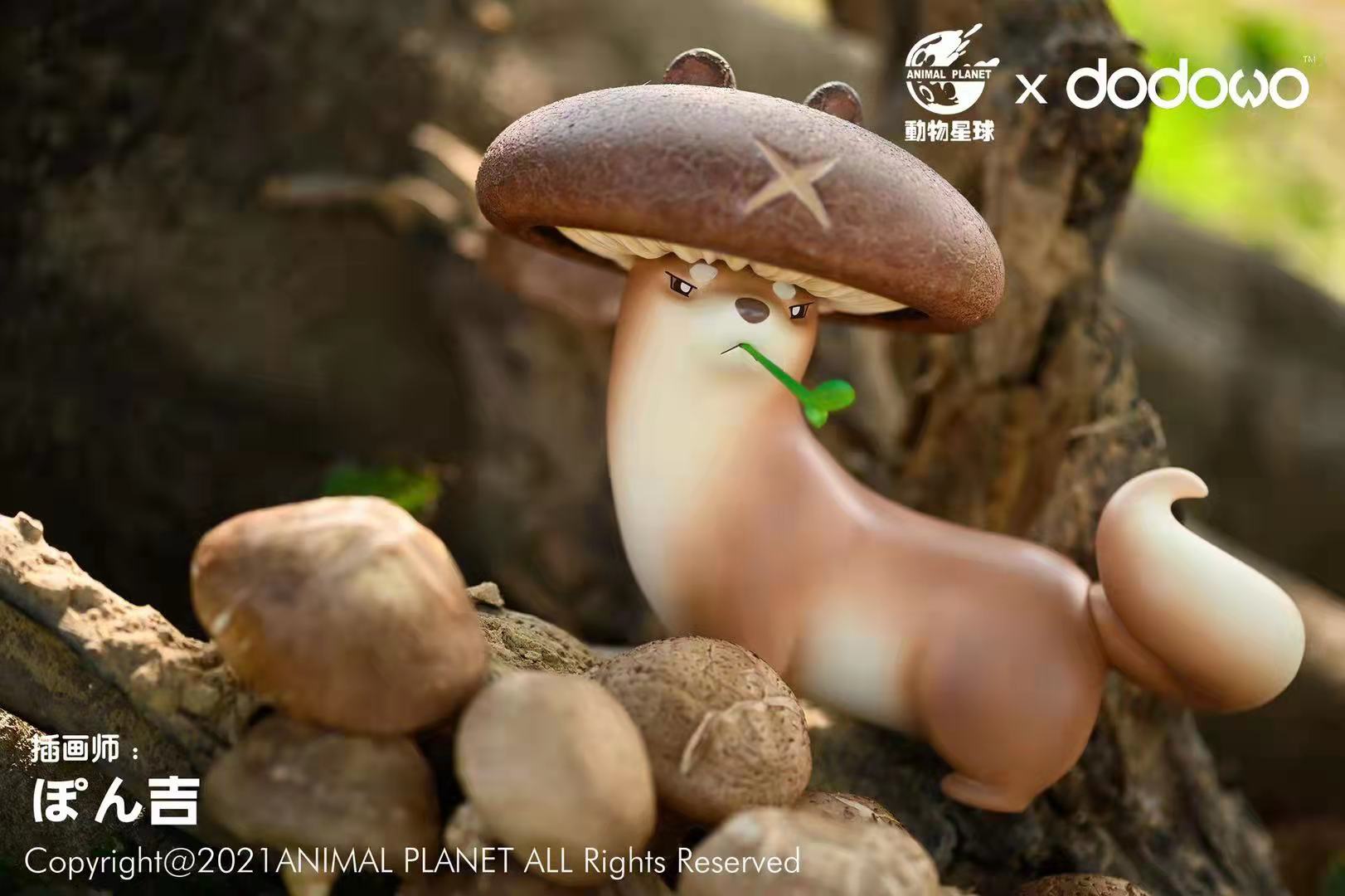 Mushroom Mustelidae