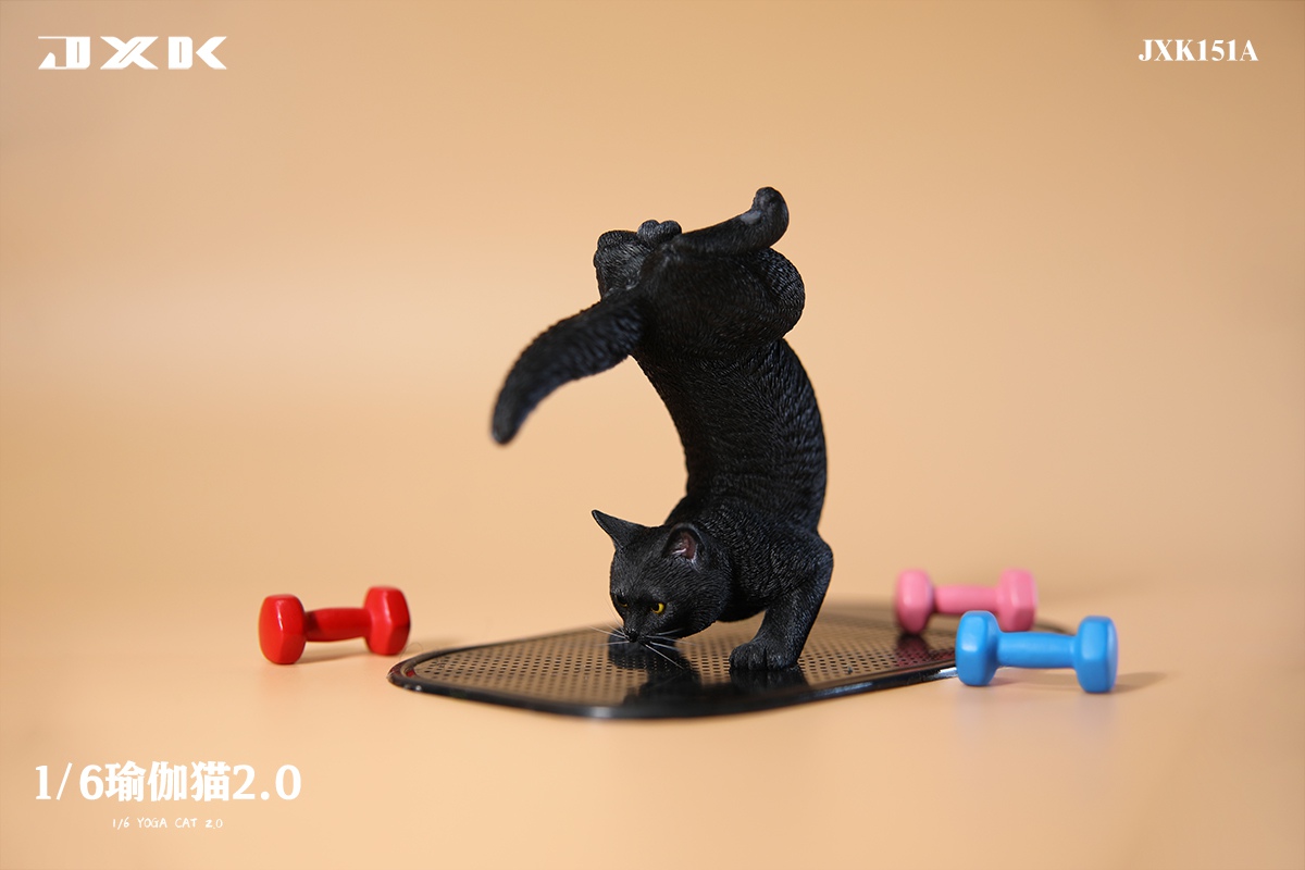 Yoga Cat 2.0 1/6