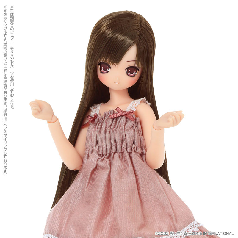 EX Cute Aika / Sweet Memory Coordinated Doll set -Chocolate Brown Hair
