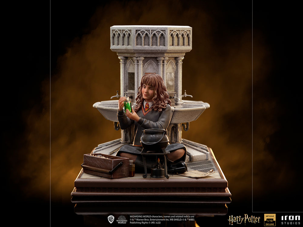 Hermione Granger Polyjuice 1/10
