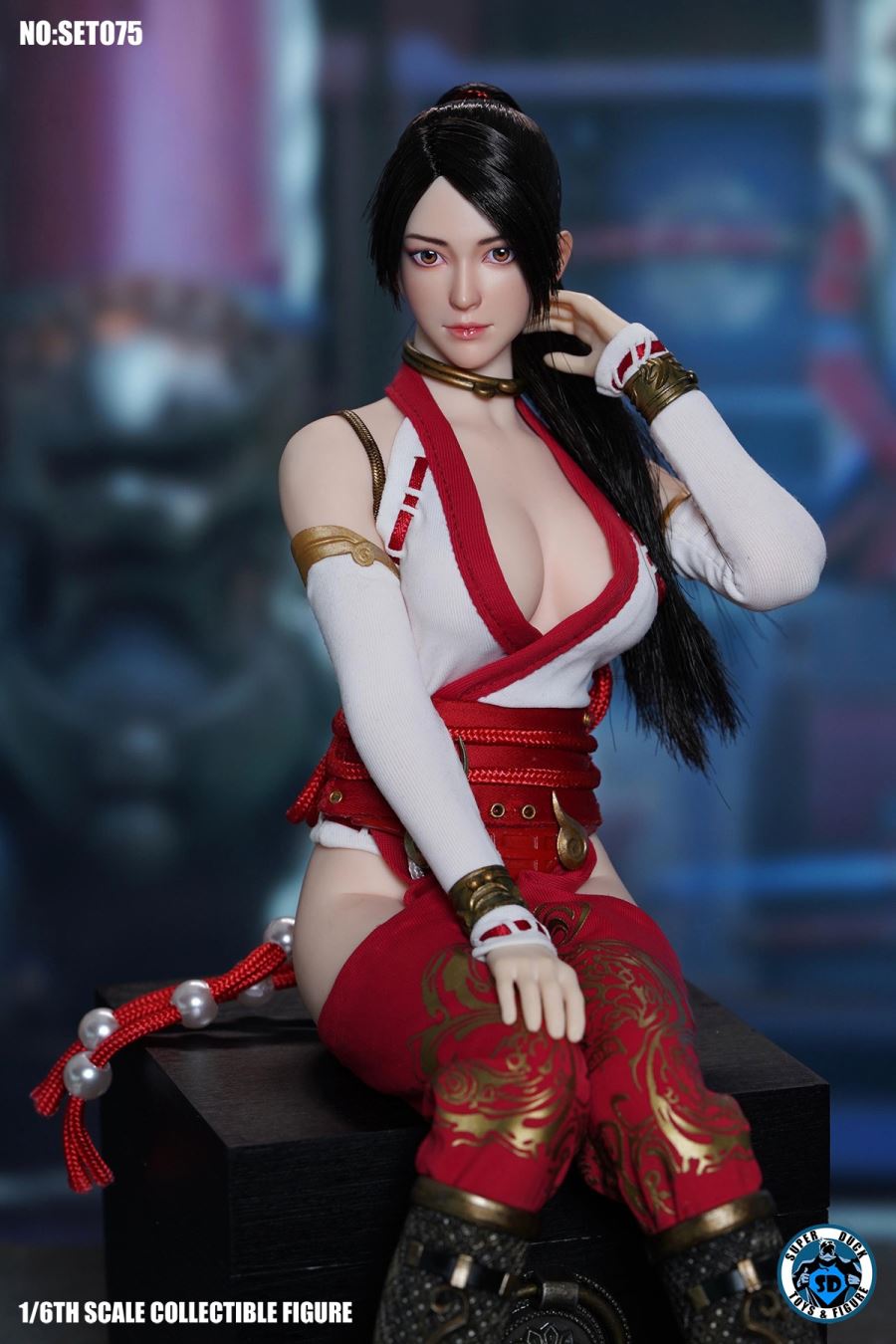Dragon Miko Accessories Pack 1/6