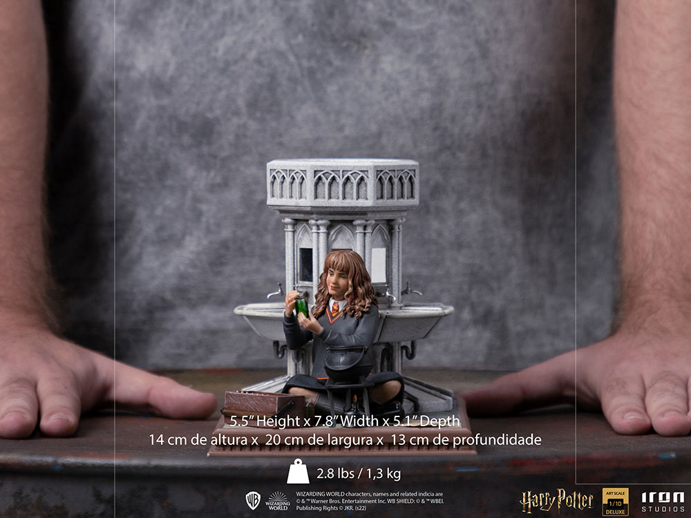 Hermione Granger Polyjuice 1/10