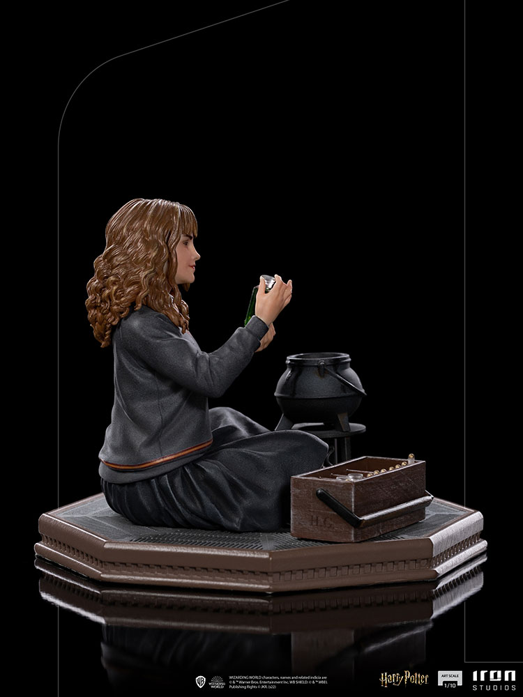 Hermione Granger Polyjuice 1/10