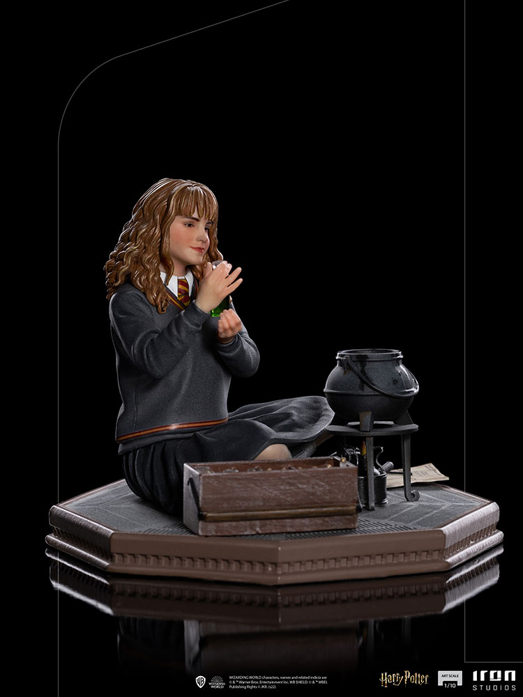 Hermione Granger Polyjuice 1/10