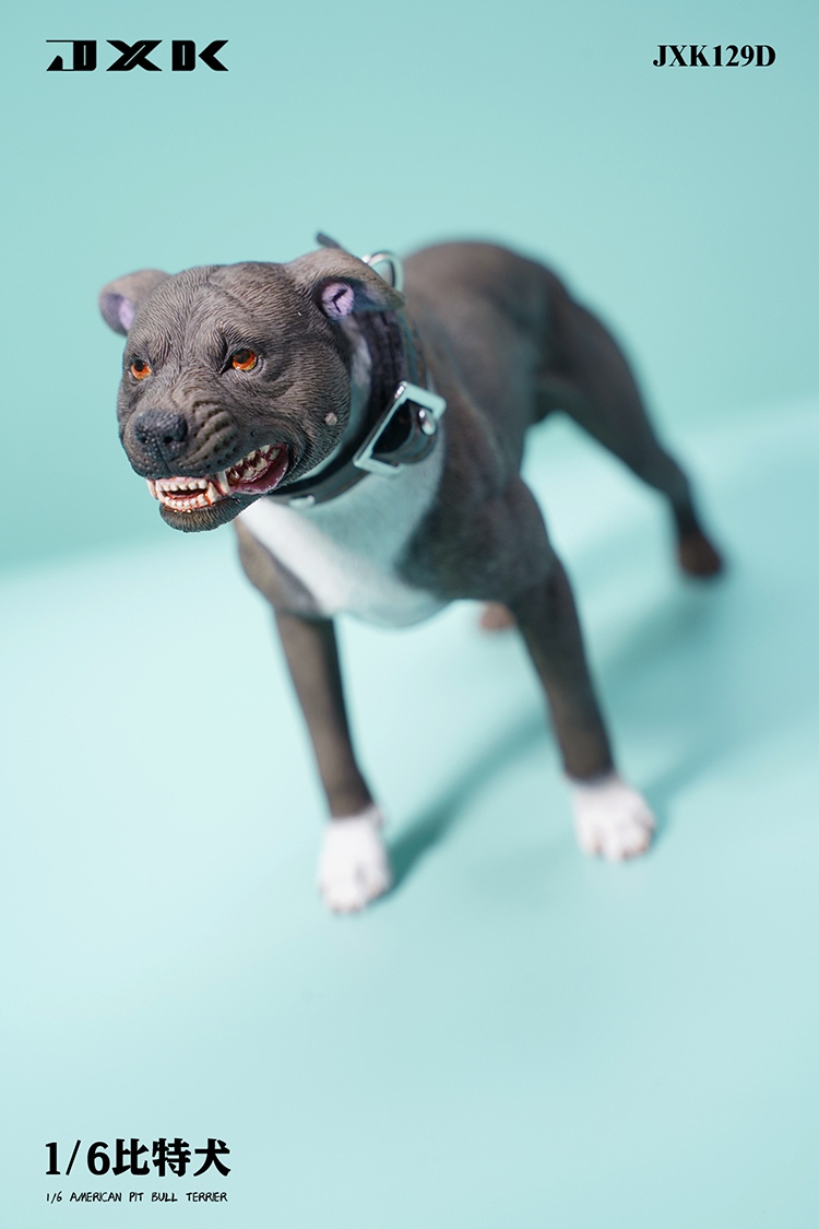 Pitbull 1/6