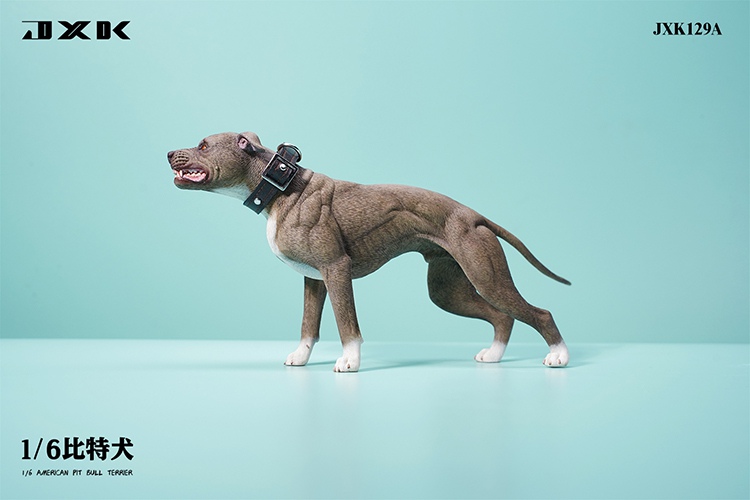 Pitbull 1/6