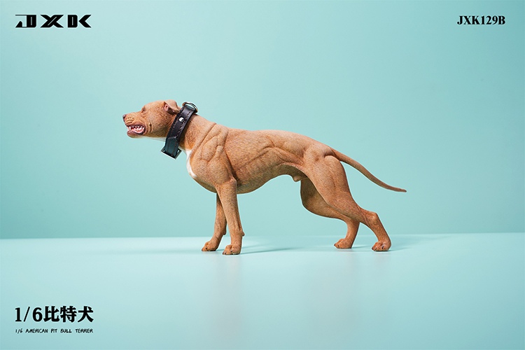 Pitbull 1/6