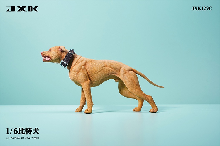 Pitbull 1/6