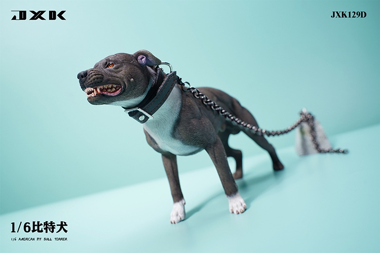 Pitbull 1/6