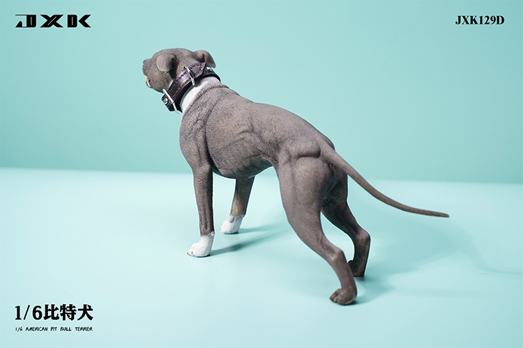 Pitbull 1/6