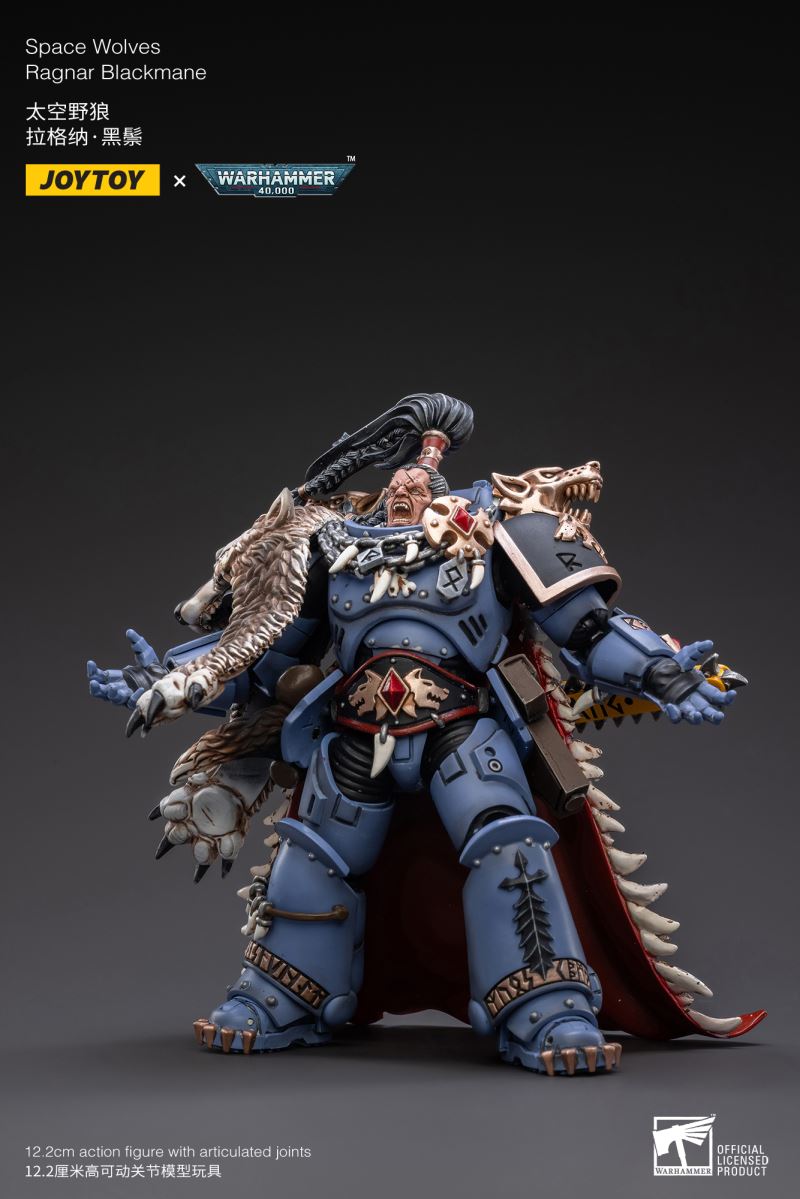 Warhammer 40000 Ferocious Bjorn