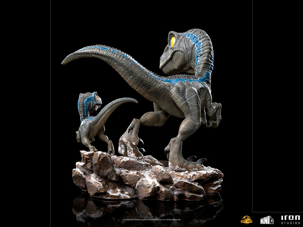Blue and Beta Mini Co
