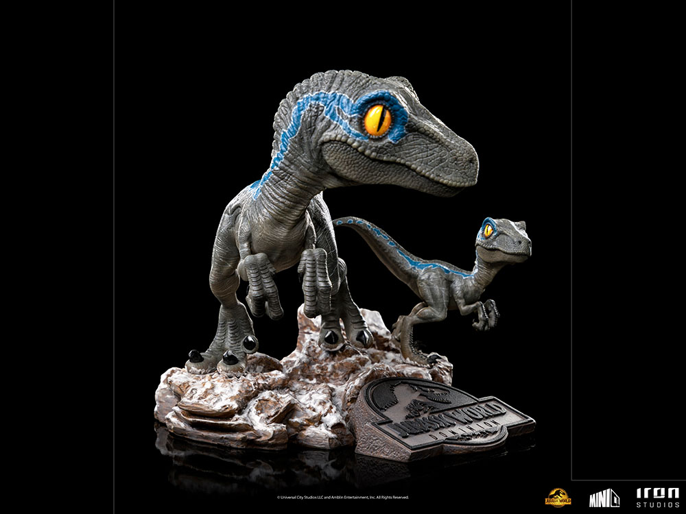 Blue and Beta Mini Co