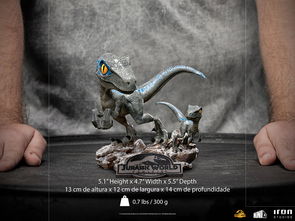 Blue and Beta Mini Co