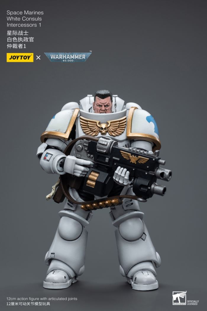 Space Marine White Consuls 1/18