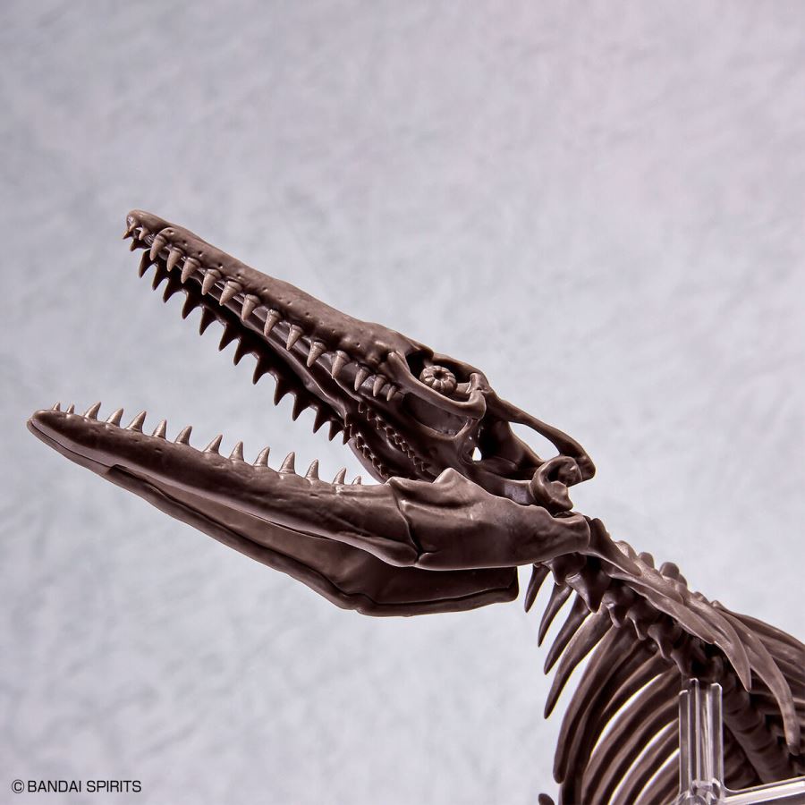 Imaginary Skeleton Mosasaurus 1/32