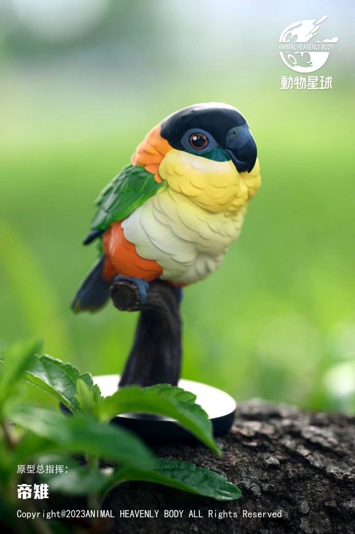 Heart Wide Body Fat Series Parrot