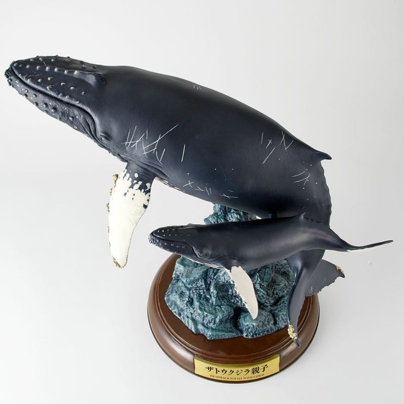 Nature Tales Humpback whale parent and child