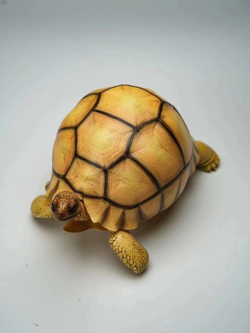 Turtle Series - Angoroka giant tortoise