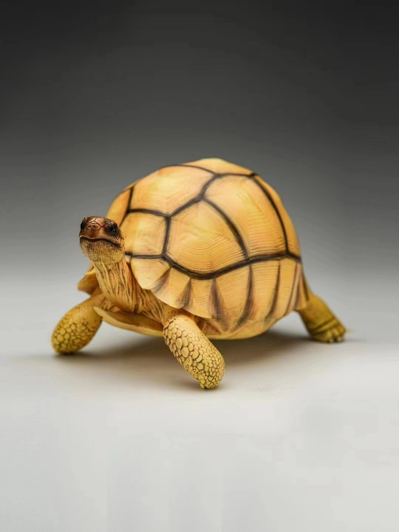 Turtle Series - Angoroka giant tortoise