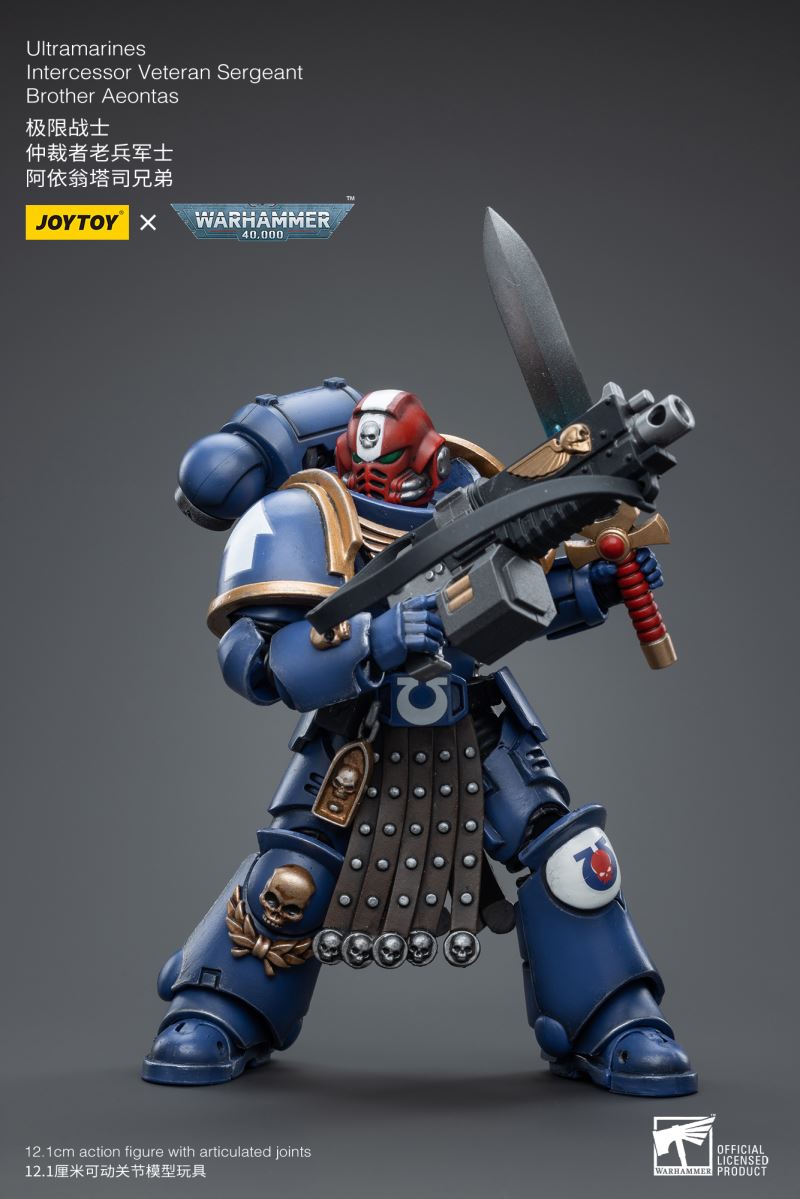 Warhammer 40,000 Sisters Model Tactical Armor & Ultimate Warrior Arbiter Veteran Sergeant 1/18