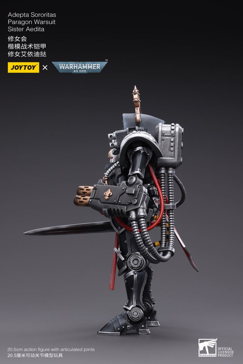 Warhammer 40,000 Sisters Model Tactical Armor & Ultimate Warrior Arbiter Veteran Sergeant 1/18