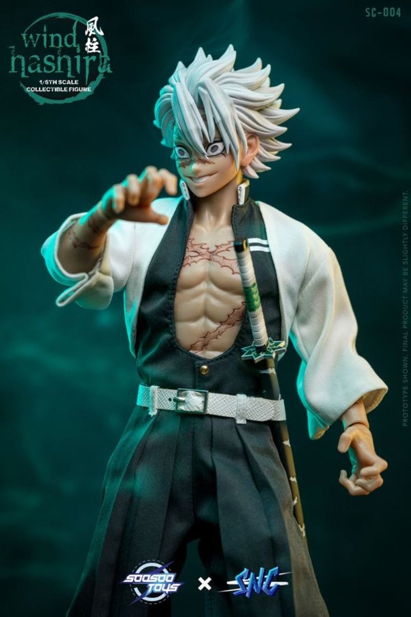 Wind Hashira 1/6