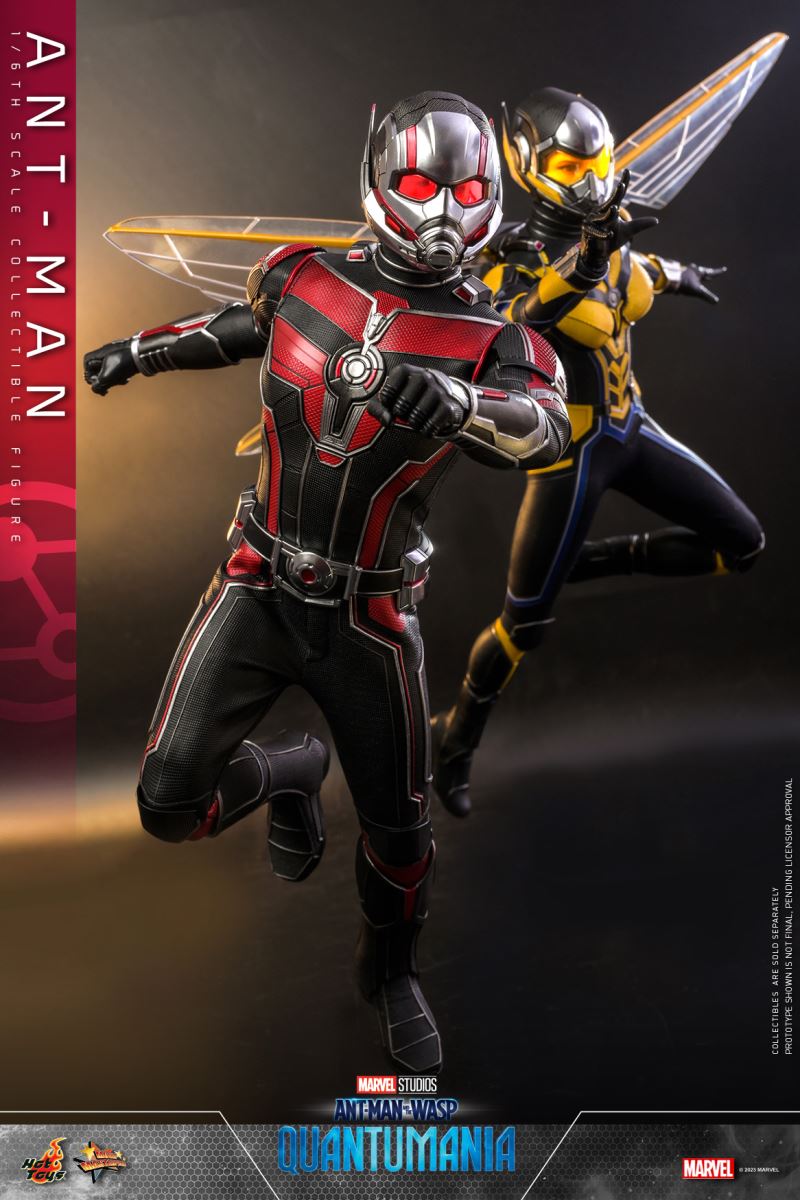 Ant-Man and the Wasp: Quantum Surge - ANT-MAN (MMS690) 1/6