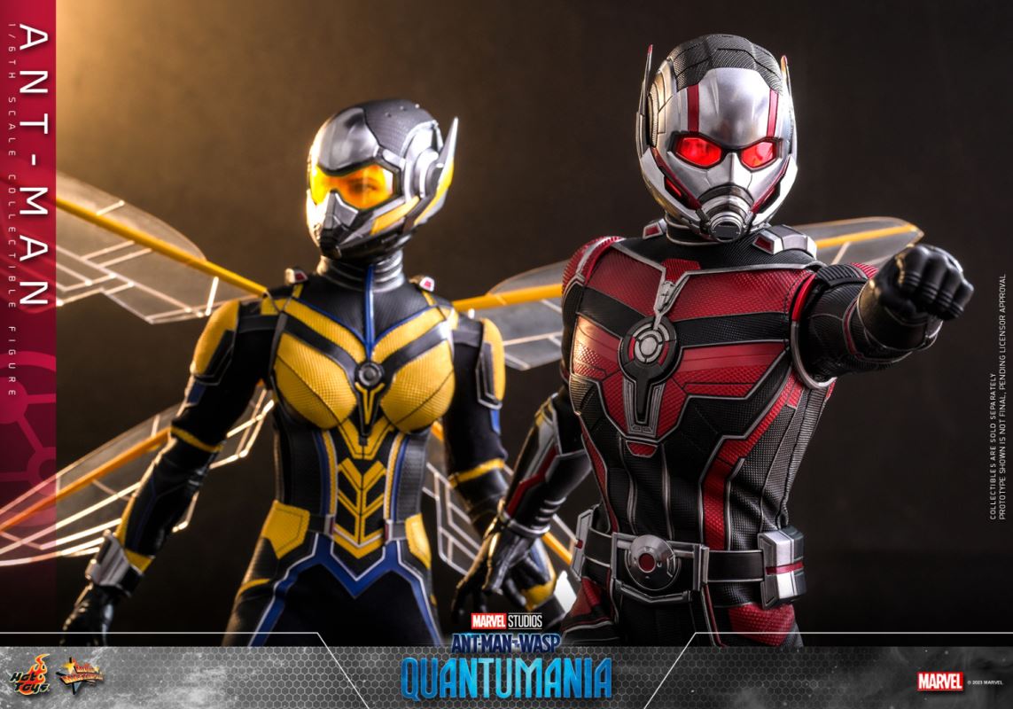 Ant-Man and the Wasp: Quantum Surge - ANT-MAN (MMS690) 1/6