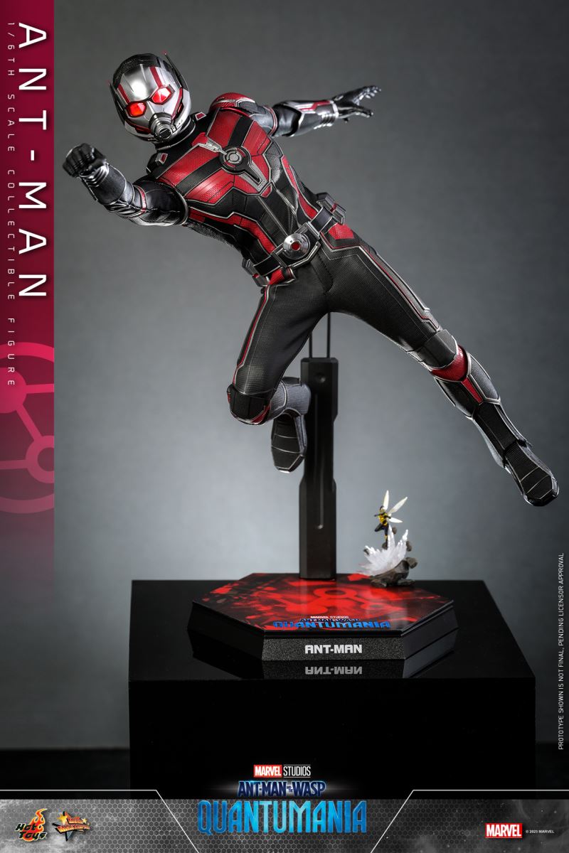 Ant-Man and the Wasp: Quantum Surge - ANT-MAN (MMS690) 1/6