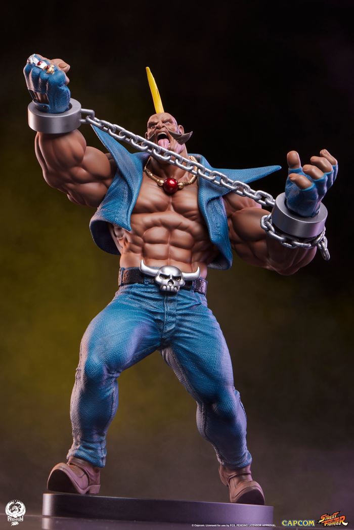 Street Fighter - Cammy & Birdie 1/10