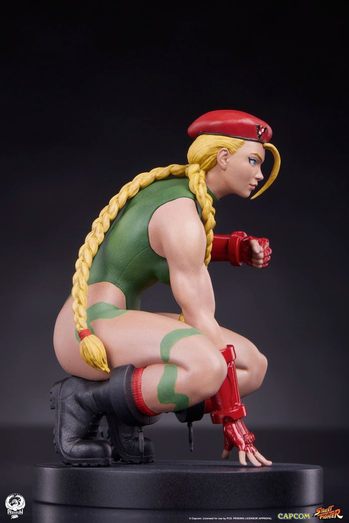 Street Fighter - Cammy & Birdie 1/10