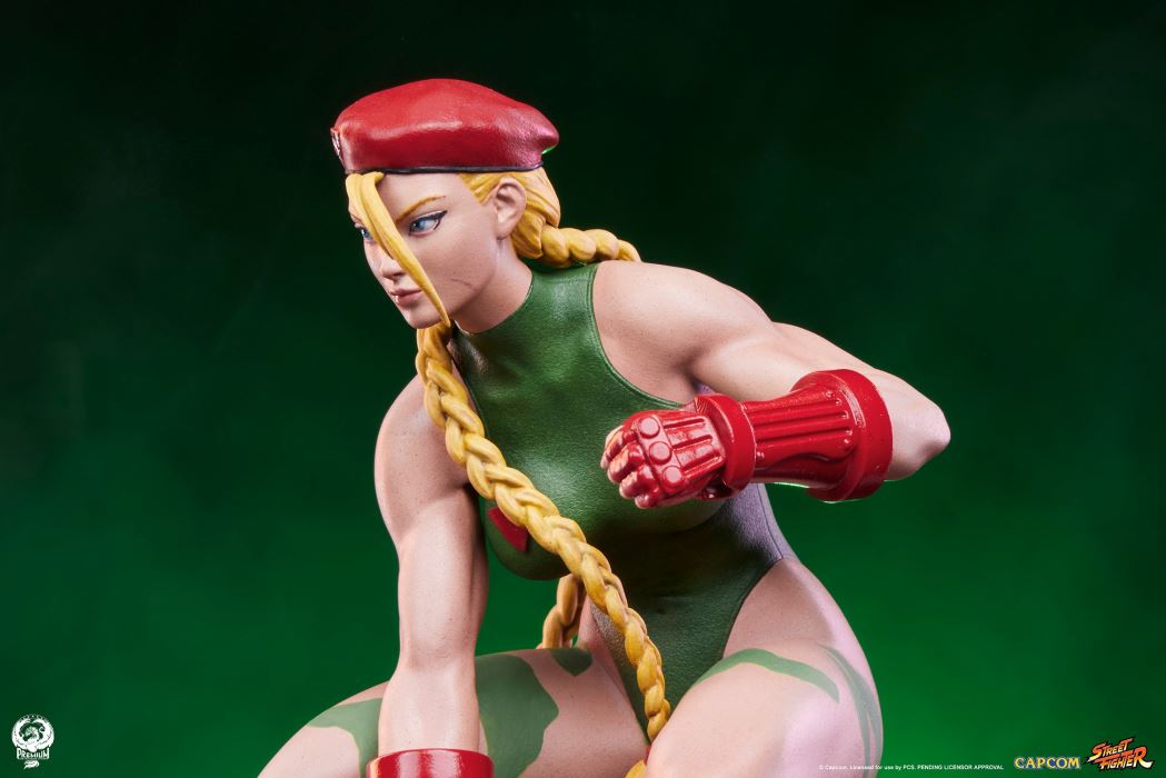 Street Fighter - Cammy & Birdie 1/10