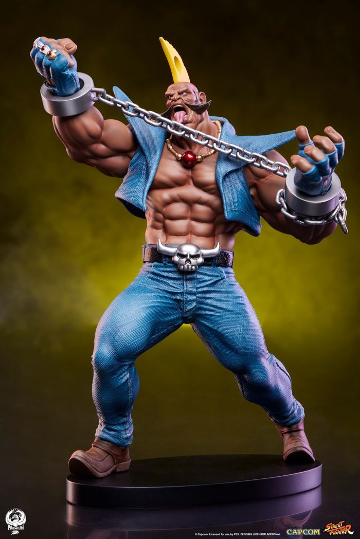 Street Fighter - Cammy & Birdie 1/10