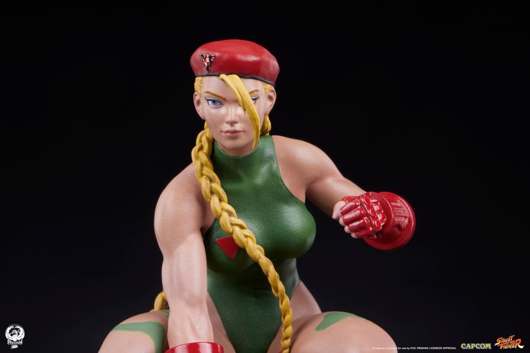 Street Fighter - Cammy & Birdie 1/10