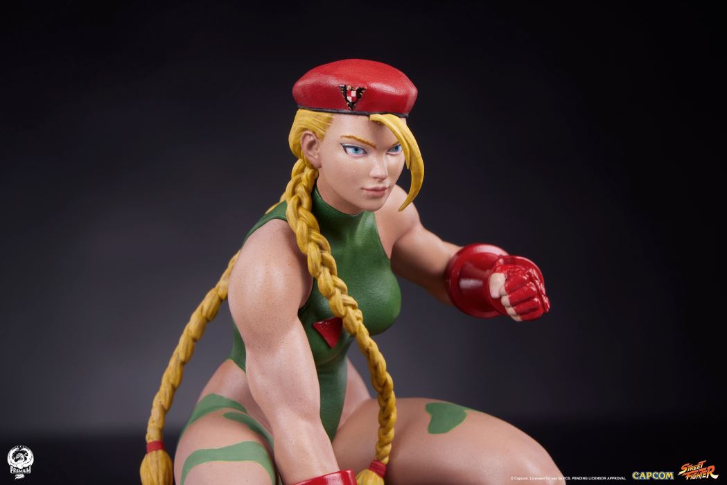 Street Fighter - Cammy & Birdie 1/10