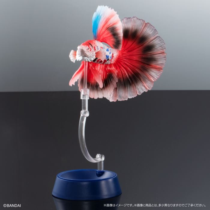 Encyclopedia of Creatures Advanced Betta