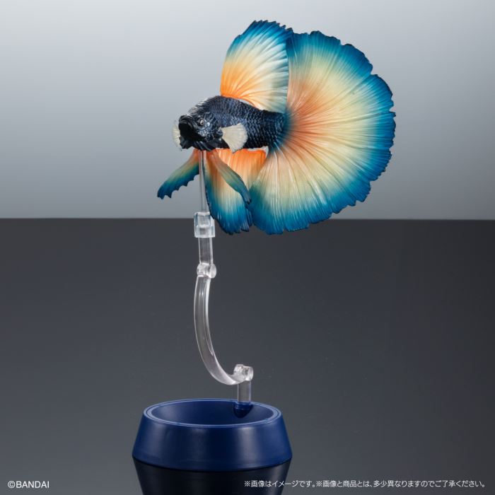 Encyclopedia of Creatures Advanced Betta