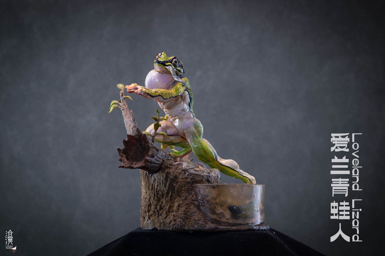 Ailan Frog Man - Original