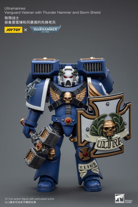 Warhammer 40000-Ultimate Warrior Vanguard Veteran Sergeant & Heavy Weapon Configuration Vanguard Veteran 1/18