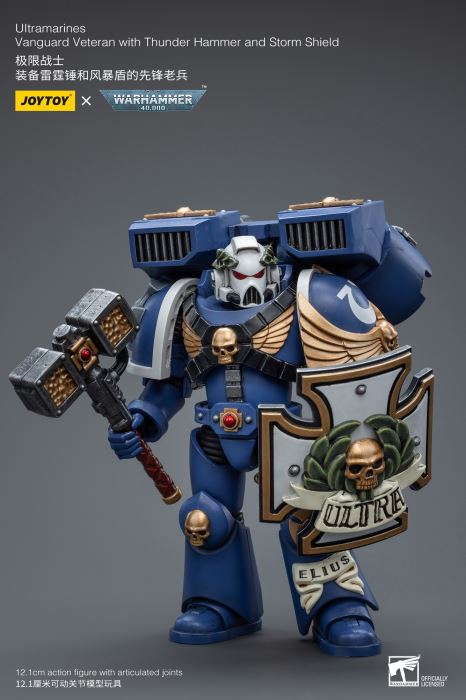 Warhammer 40000-Ultimate Warrior Vanguard Veteran Sergeant & Heavy Weapon Configuration Vanguard Veteran 1/18