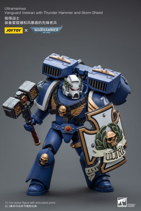 Warhammer 40000-Ultimate Warrior Vanguard Veteran Sergeant & Heavy Weapon Configuration Vanguard Veteran 1/18