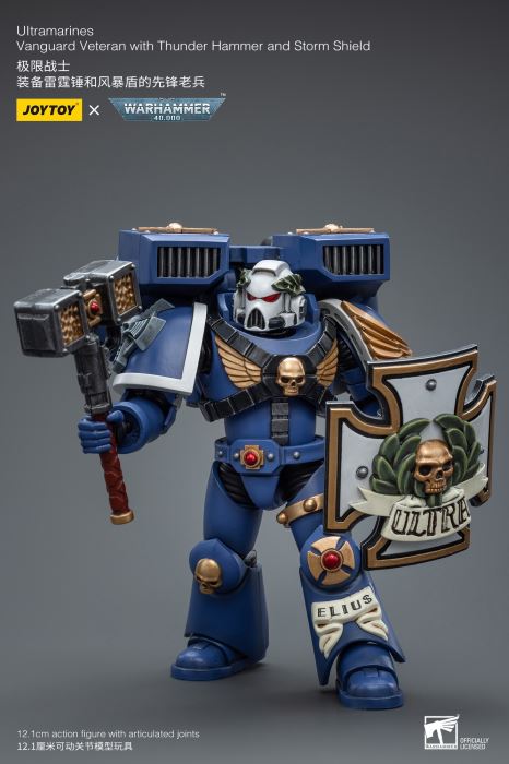 Warhammer 40000-Ultimate Warrior Vanguard Veteran Sergeant & Heavy Weapon Configuration Vanguard Veteran 1/18